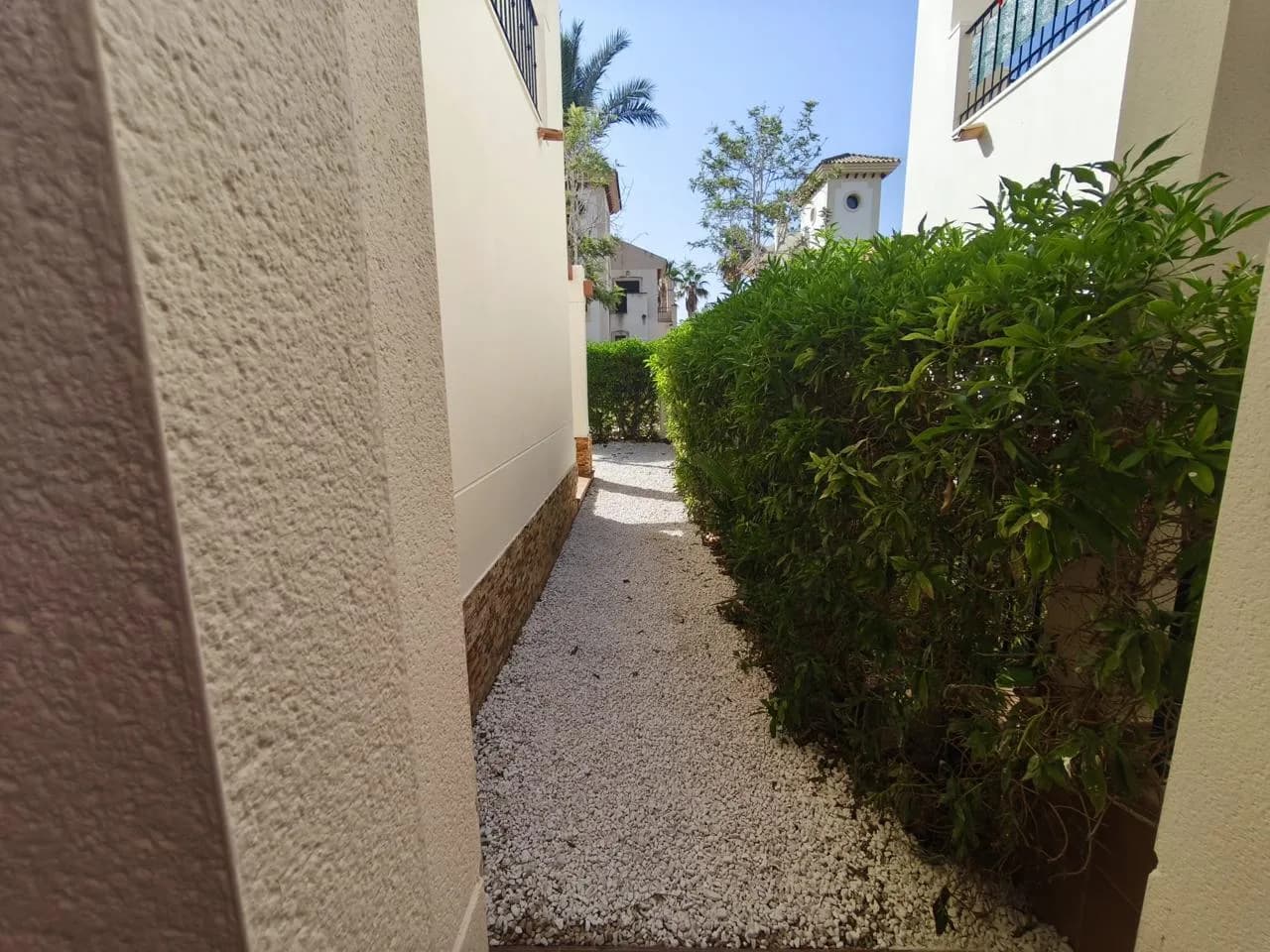 Bungalow Adosado Con Jardín, Solárium Y Piscina En Algorfa - Image 5
