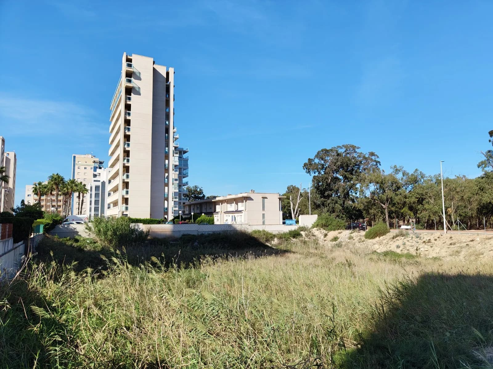 Plot de 1 chambres à vendre à Guardamar del Segura, Alicante - Image 6