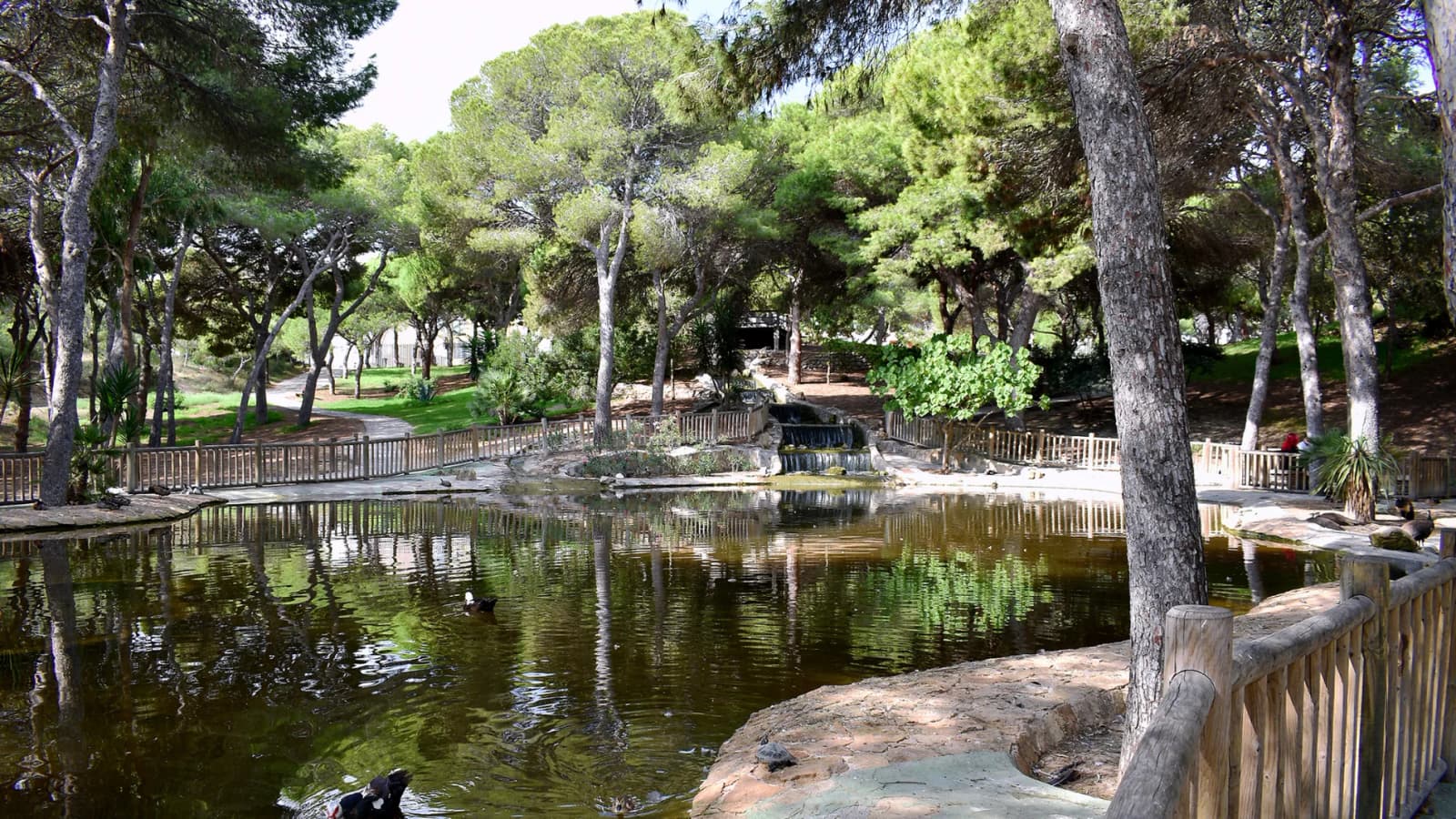 Plot de 1 chambres à vendre à Guardamar del Segura, Alicante - Image 9