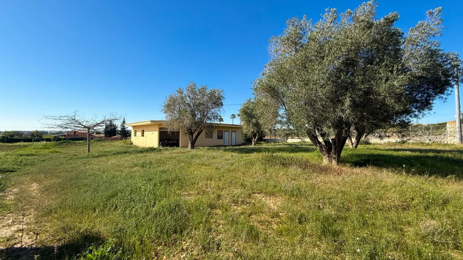 Finca Country Property In Guardamar Del Segura - Image 6