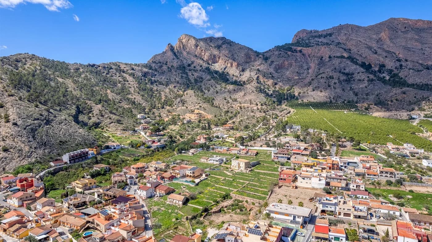 Country Estate In Orihuela