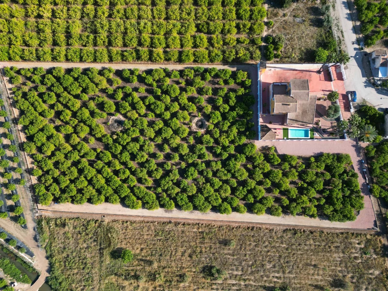 Finca - Country Property In Orihuela - Image 3