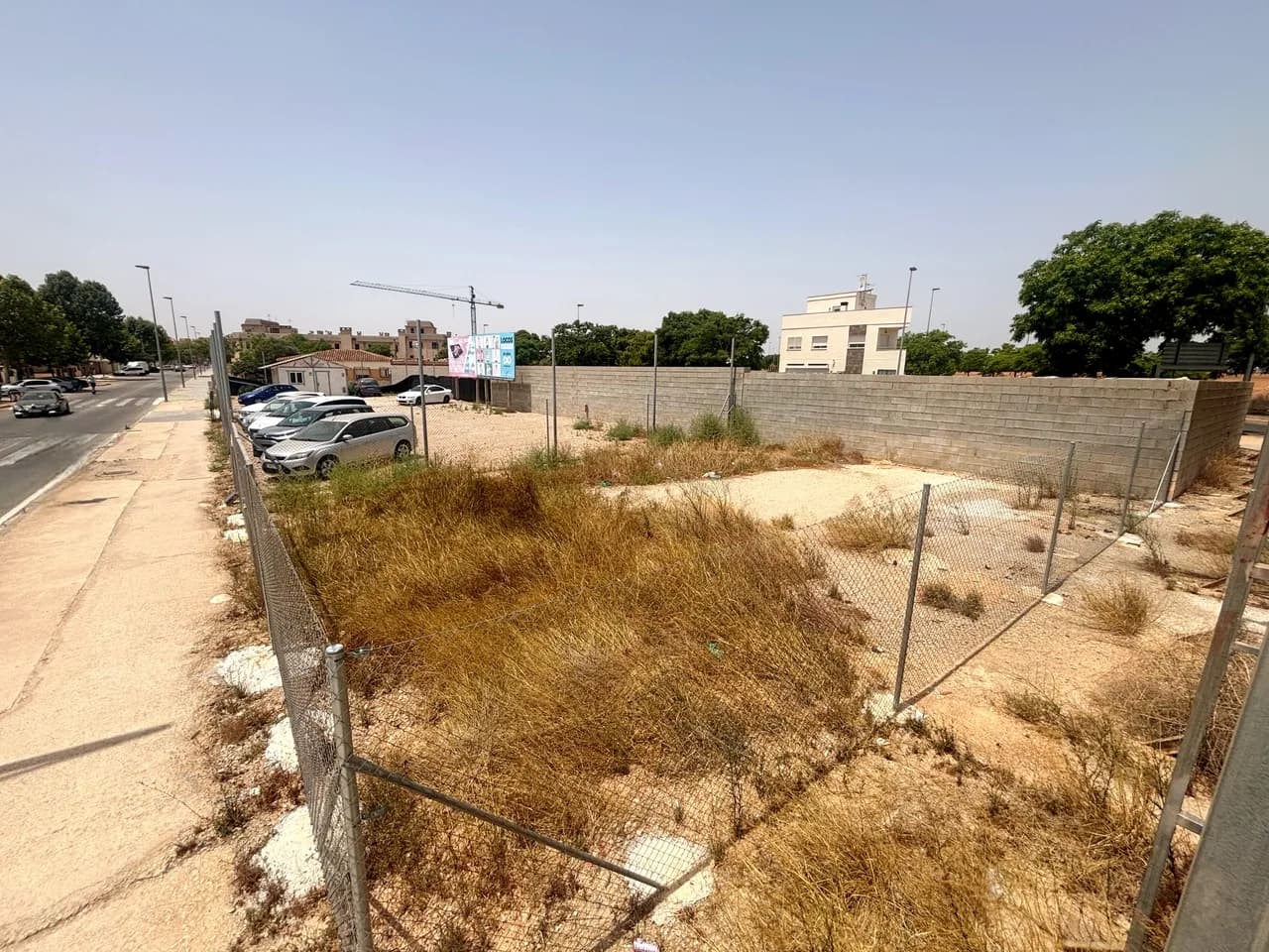 Plot In Pilar De La Horadada - Image 3