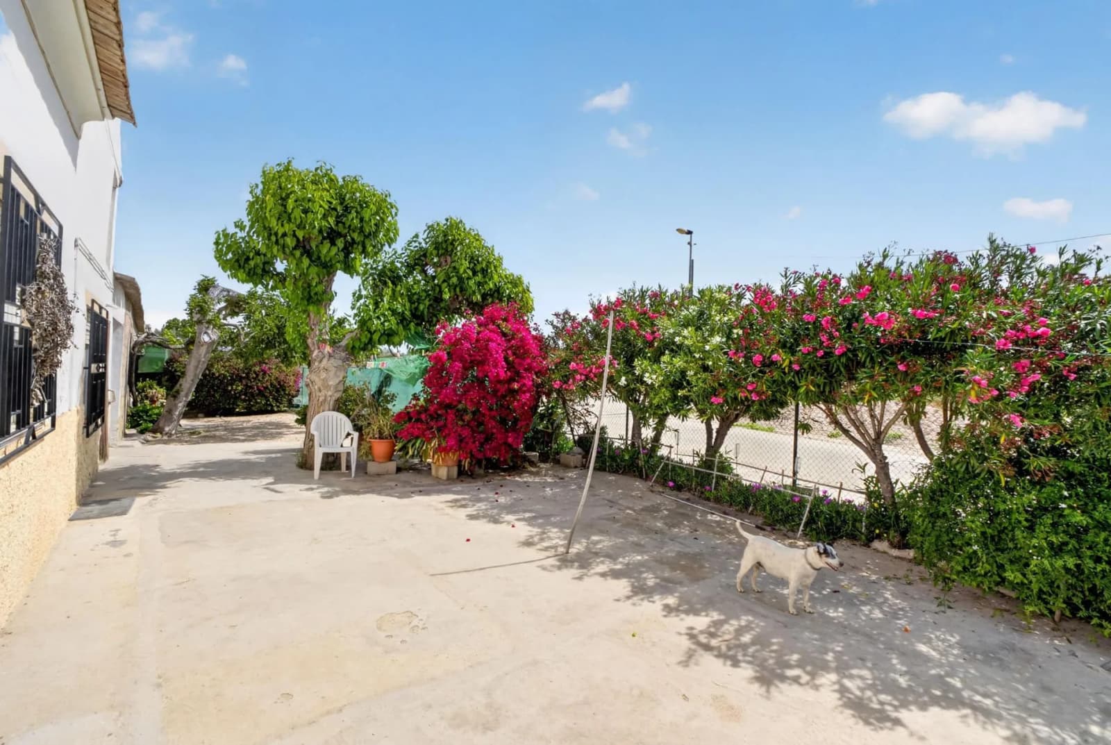 Country House In Orihuela - Image 5