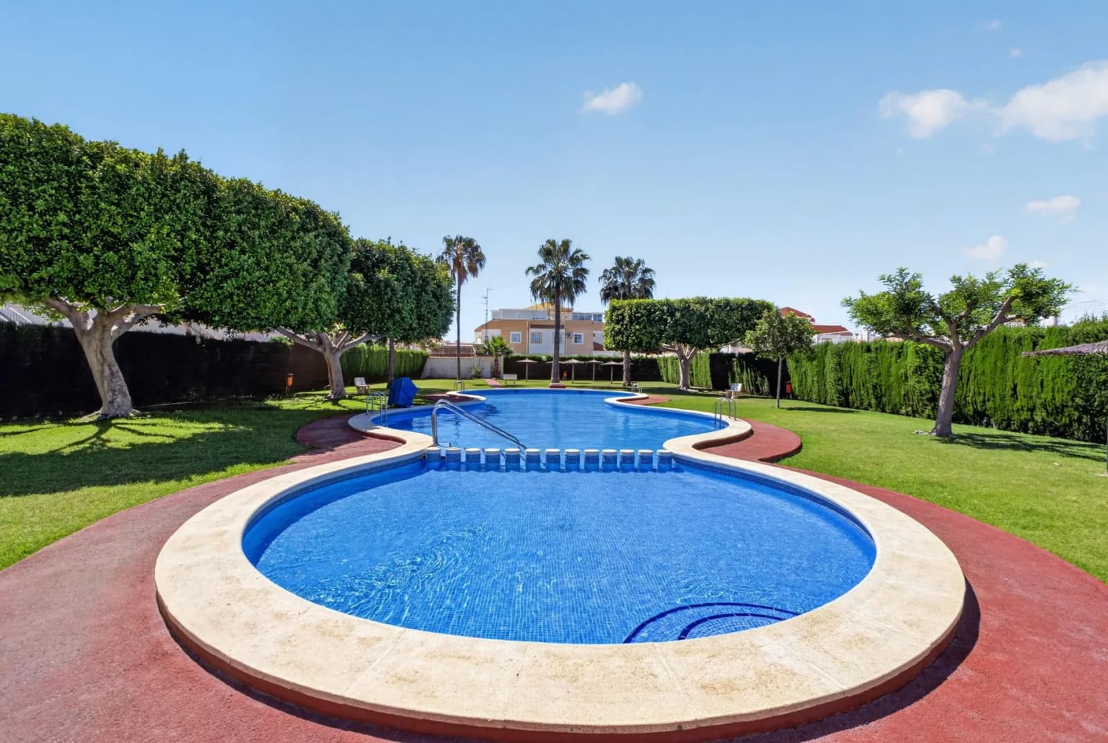 Ground Floor In Torrevieja - Image 2