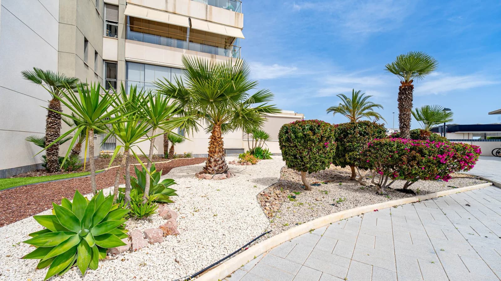 Apartament In Los Dolses - Image 6