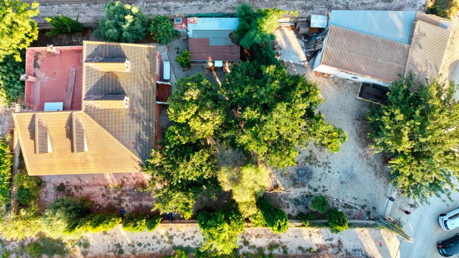 Finca - Country Property In Catral - Image 6