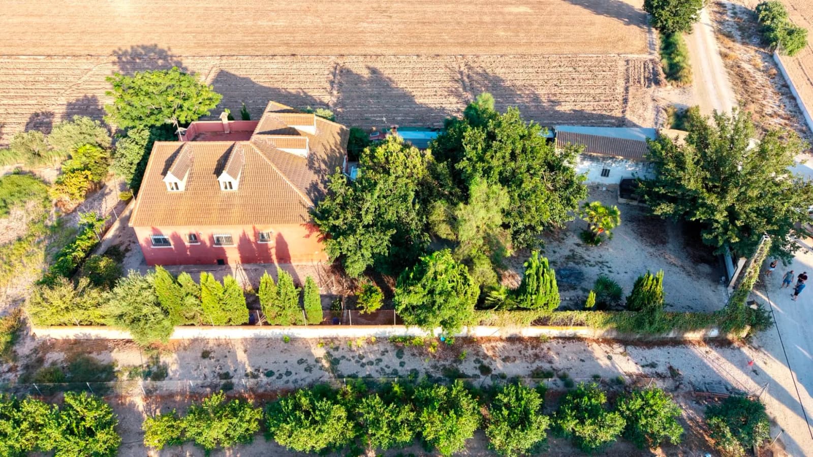 Finca - Country Property In Catral - Image 7