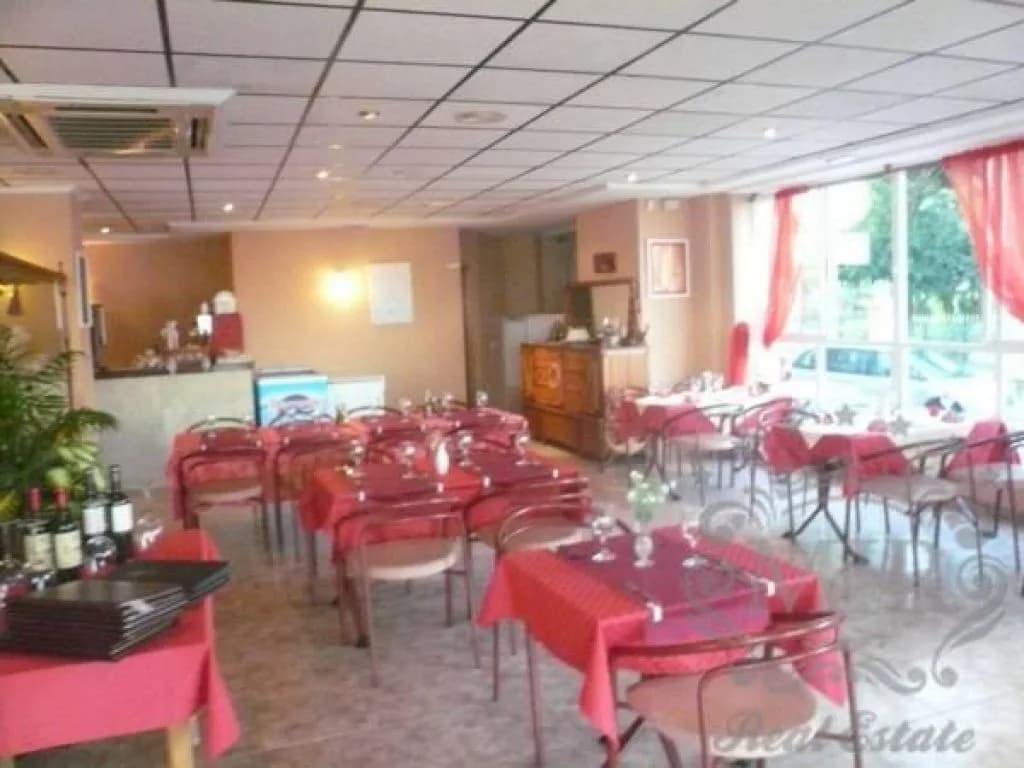 Commercial Premises In Torrevieja - Image 2