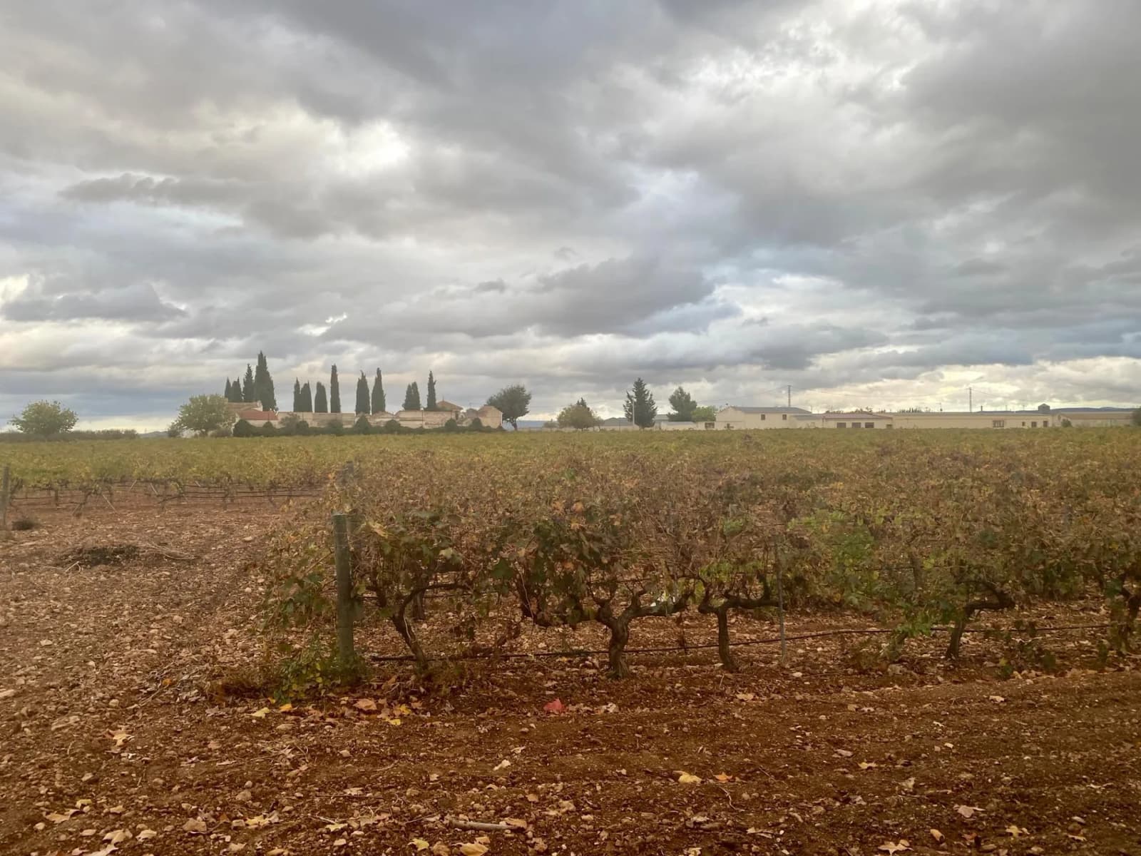 Wine Cellar In Albacete - Image 5