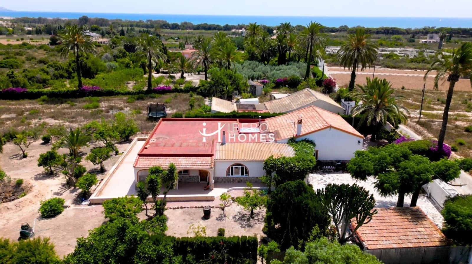 Farmhouse Villa In La Marina - Image 3