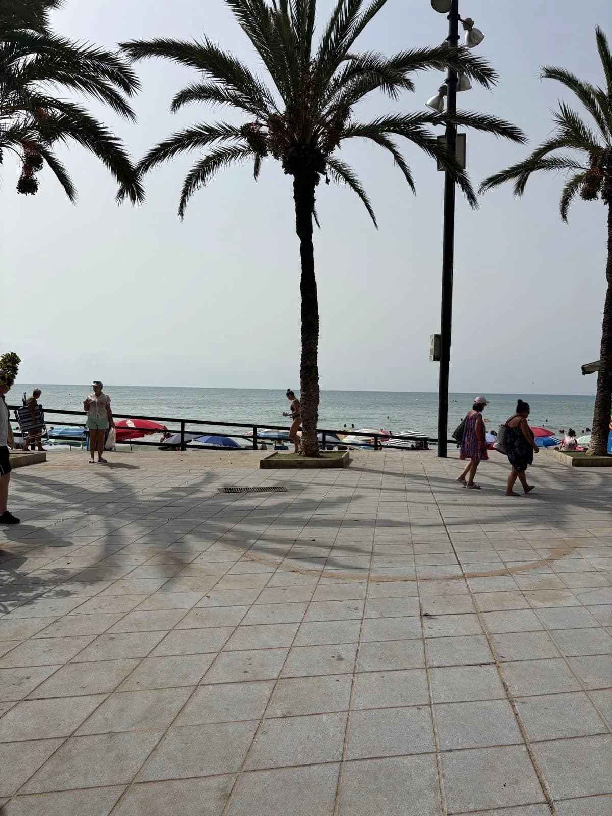 Apartment de 3 dormitorios en venta en Torrevieja, Alicante - Image 4