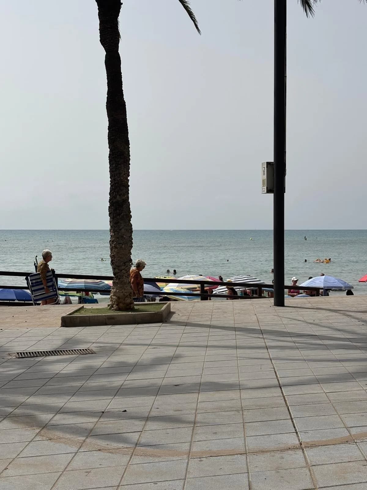 Apartment de 3 dormitorios en venta en Torrevieja, Alicante - Image 6