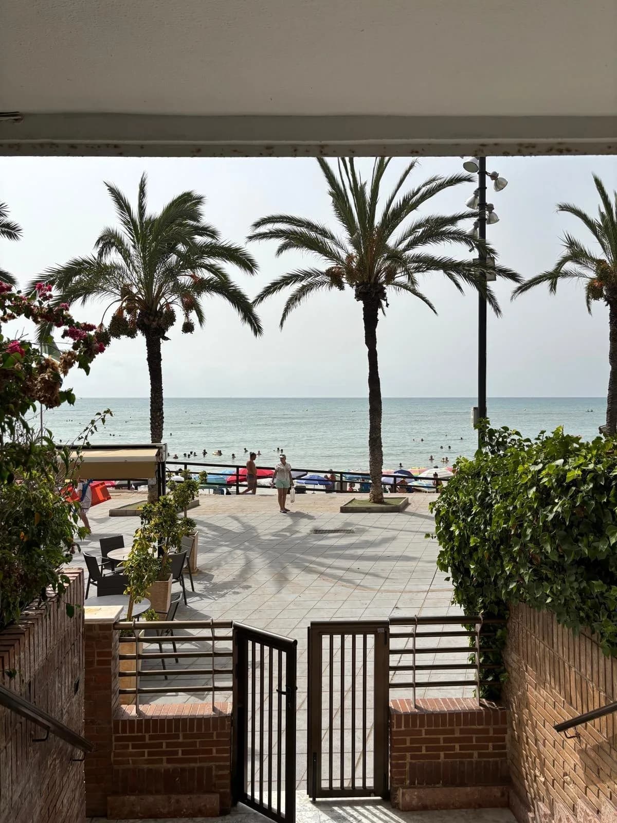 Apartment de 3 dormitorios en venta en Torrevieja, Alicante - Image 8