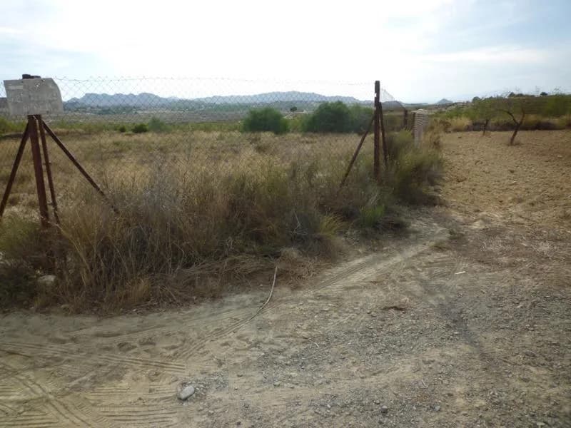 Country House In Orihuela - Image 7
