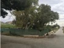 Country Land In Jacarilla - Image 4