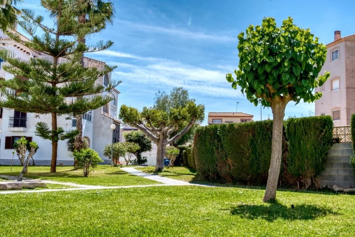 Duplex de 1 dormitorios en venta en Torrevieja, Alicante - Image 3
