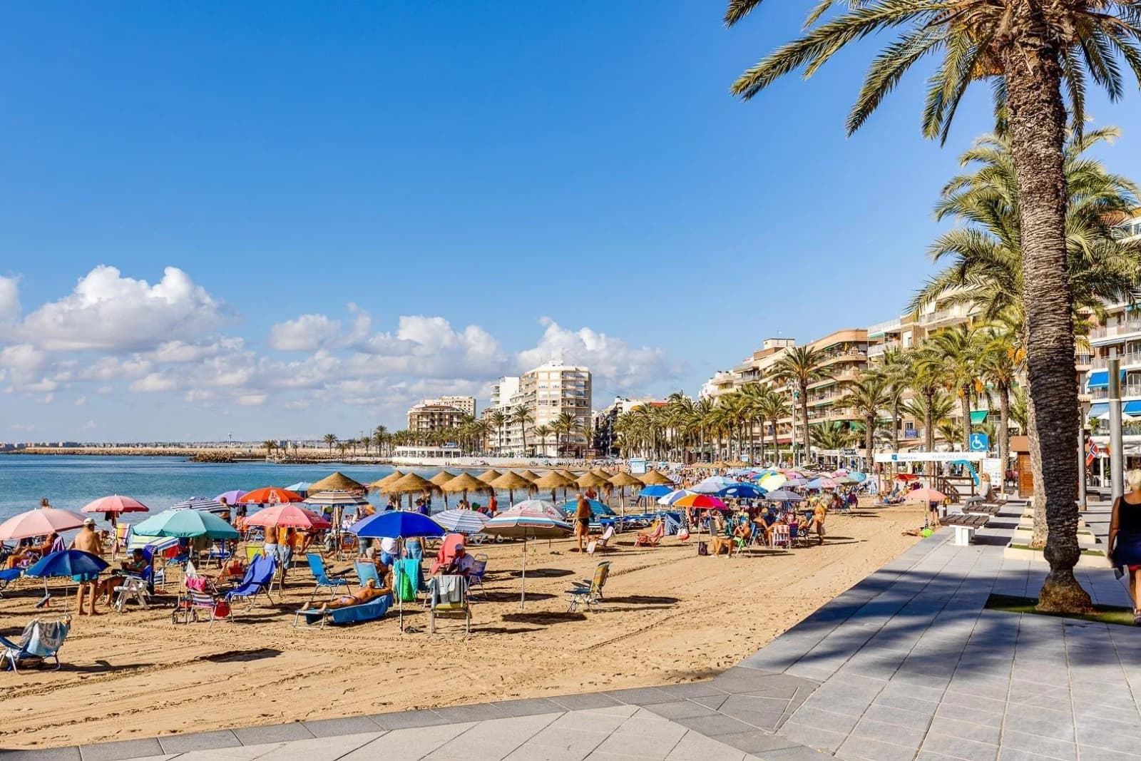 Apartment de 2 dormitorios en venta en Torrevieja, Alicante - Image 8