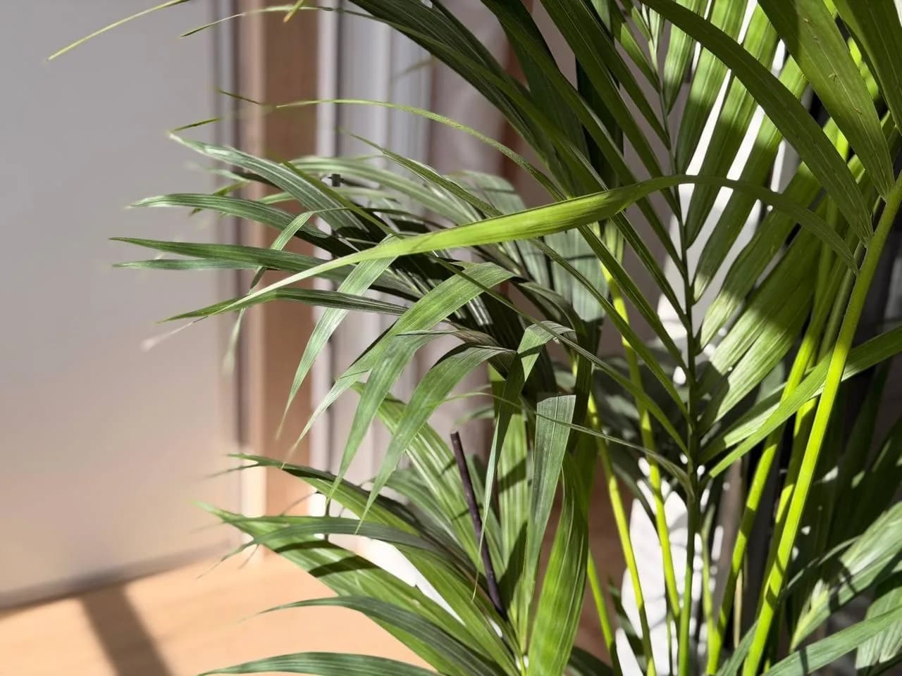 Apartment с 2 спальнями на продажу в Torrevieja, Alicante - Image 3