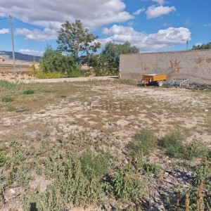 image10
