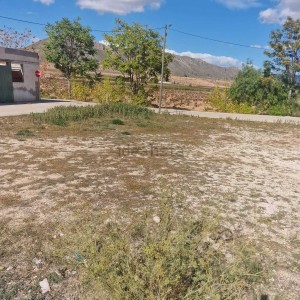 image6