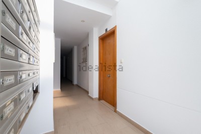 image11