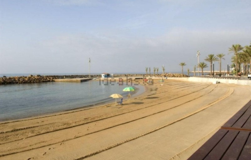 image31