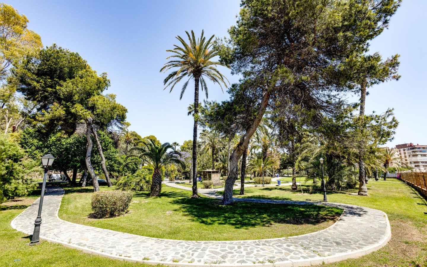 foto43