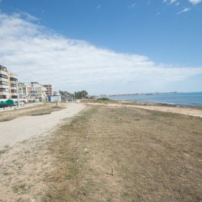 EXOTICO-3