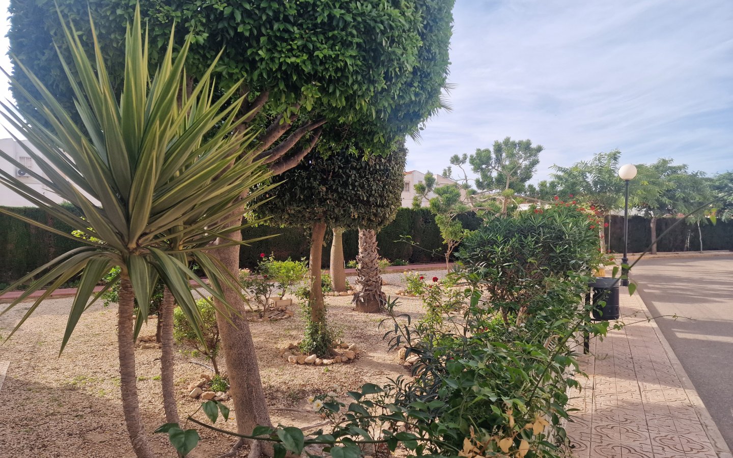 20251111_145855 20251111_145855