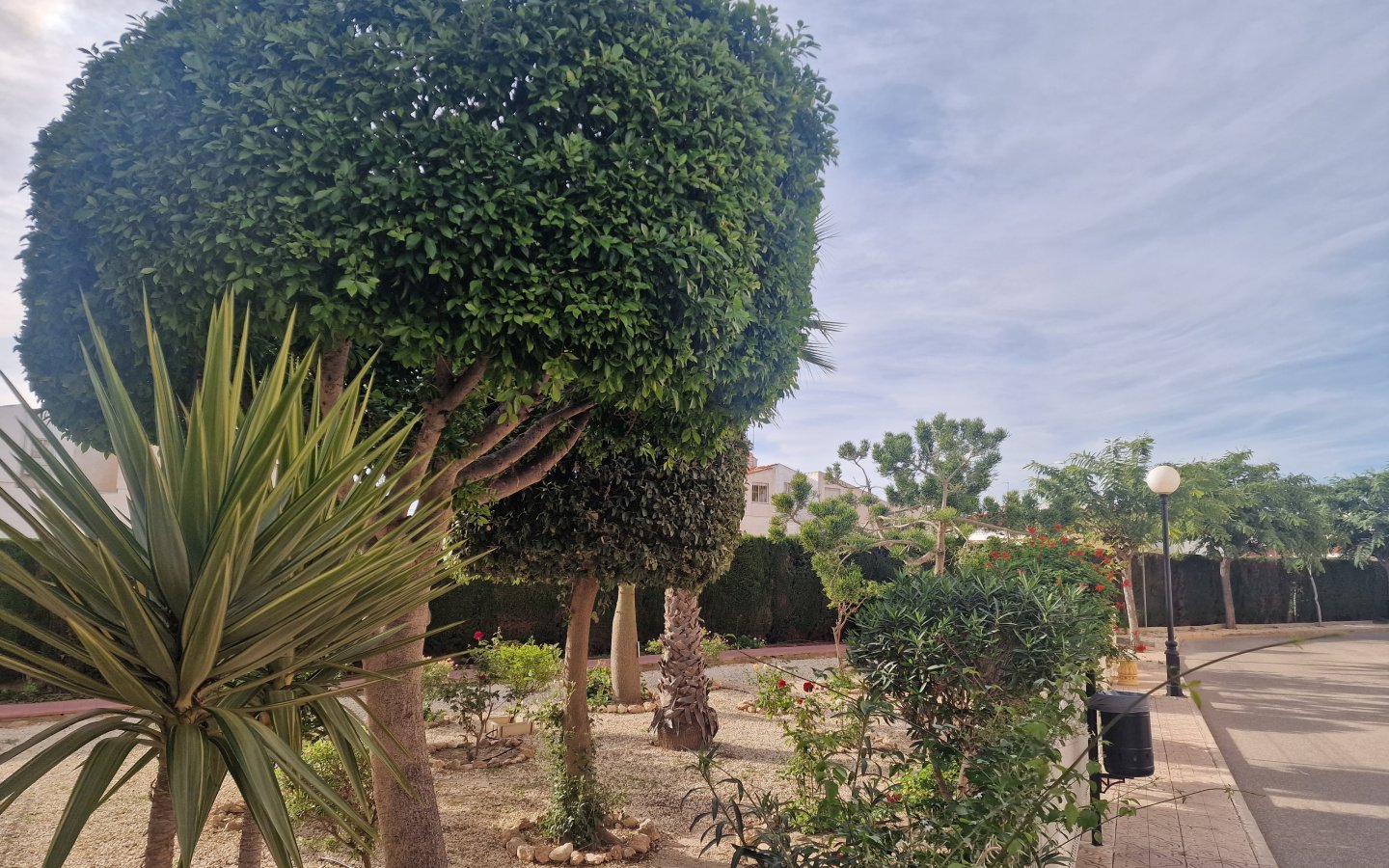 20251111_145906 20251111_145906