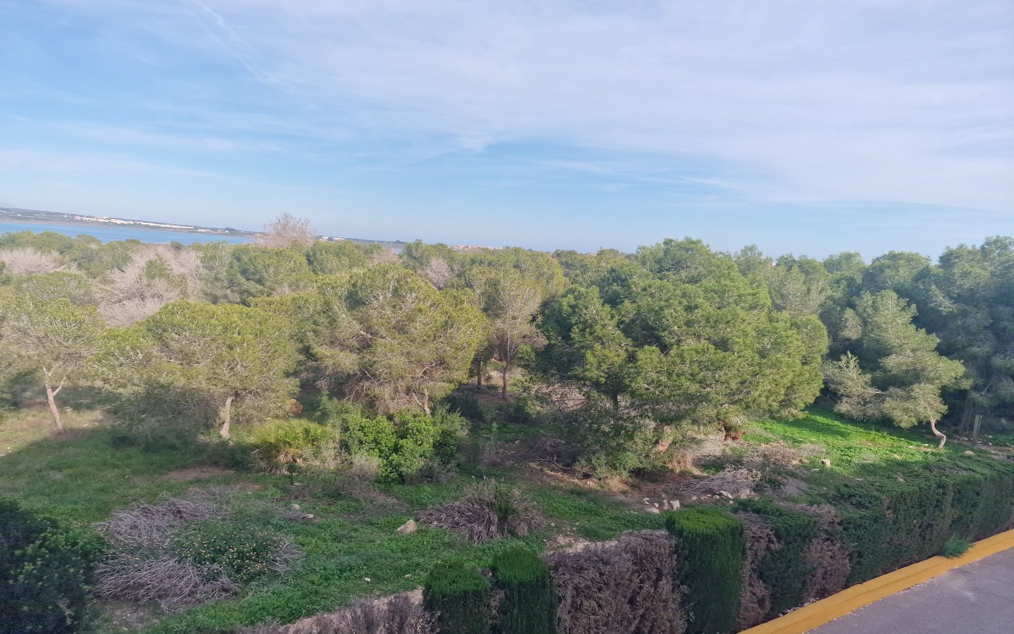 20251111_151531 20251111_151531