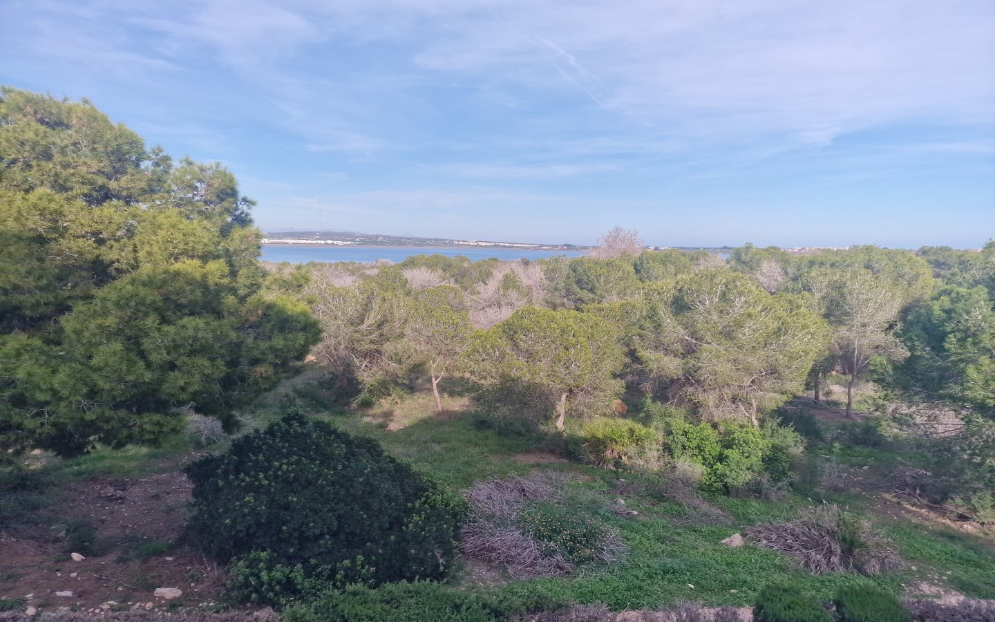 20251111_151544 20251111_151544