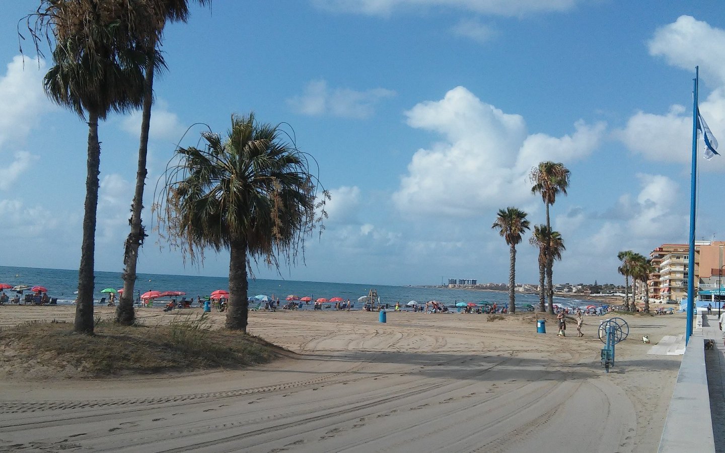 sabbia-e-palme sabbia-e-palme