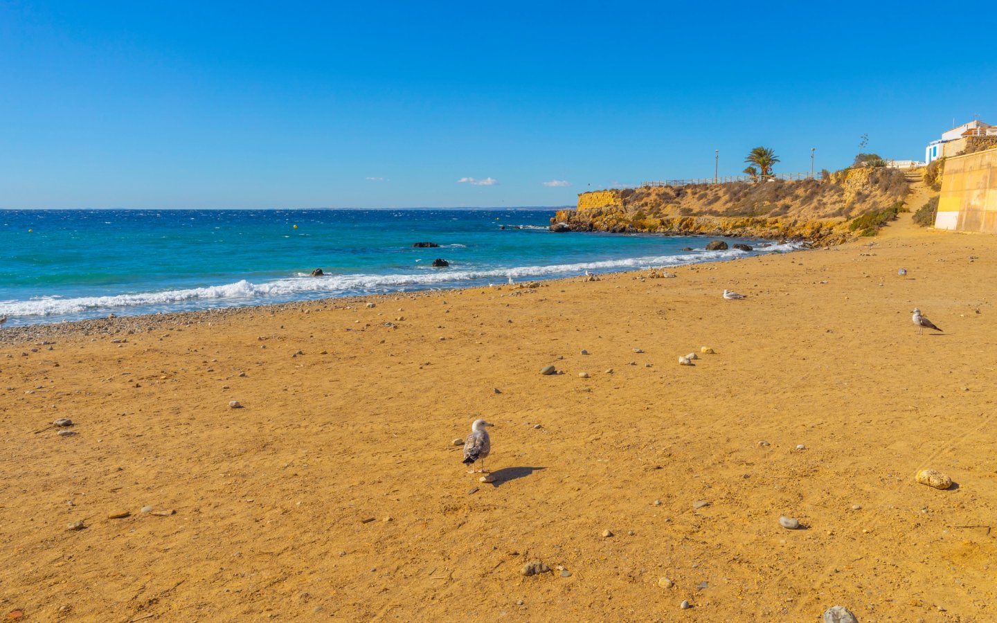 464407105_1330046951710520_8641605349363508678_n