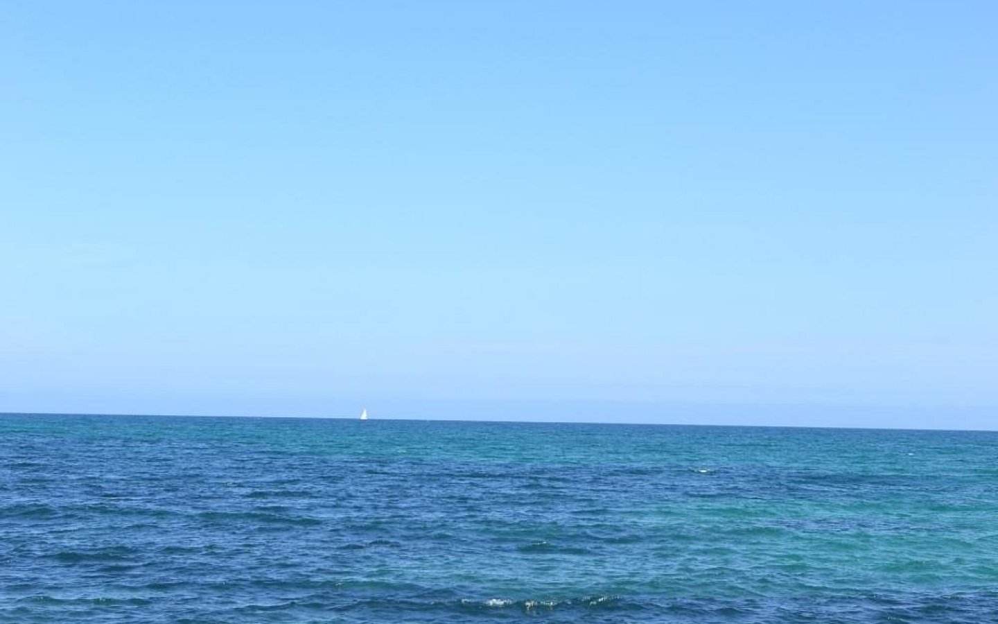 dique-de-levante (1) dique-de-levante (1)