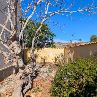 full_1416331_63690789