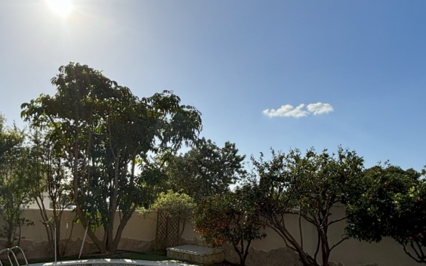 full_1464916_64811992 full_1464916_64811992