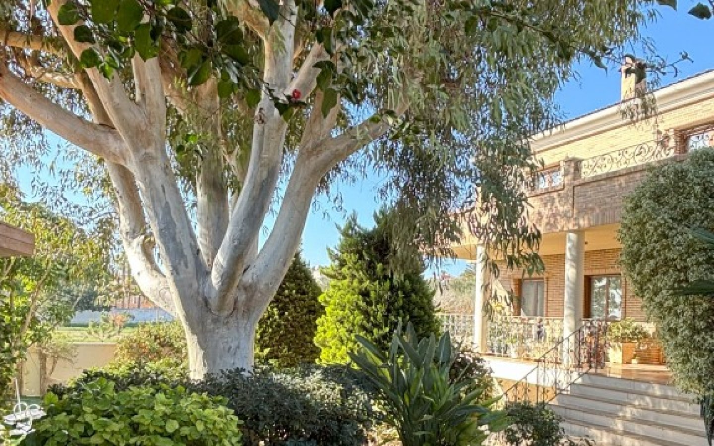 full_1464916_64811993 full_1464916_64811993