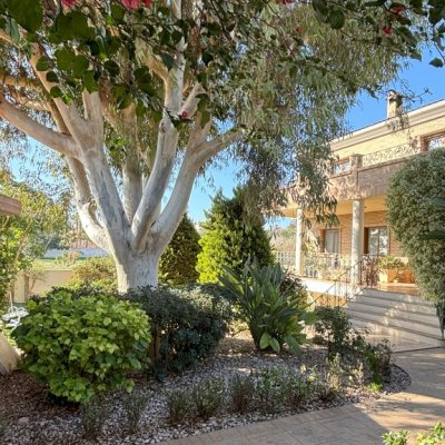 full_1464916_64811993