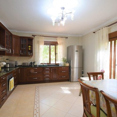 full_1464916_64812016