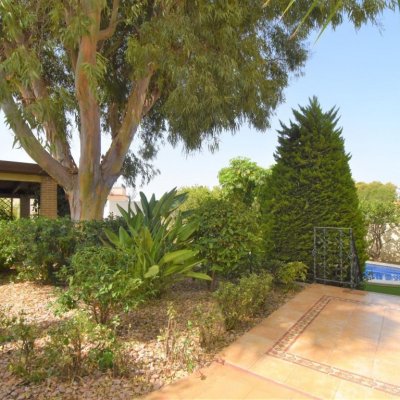 full_1464916_64812019