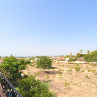 full_1464916_64812026