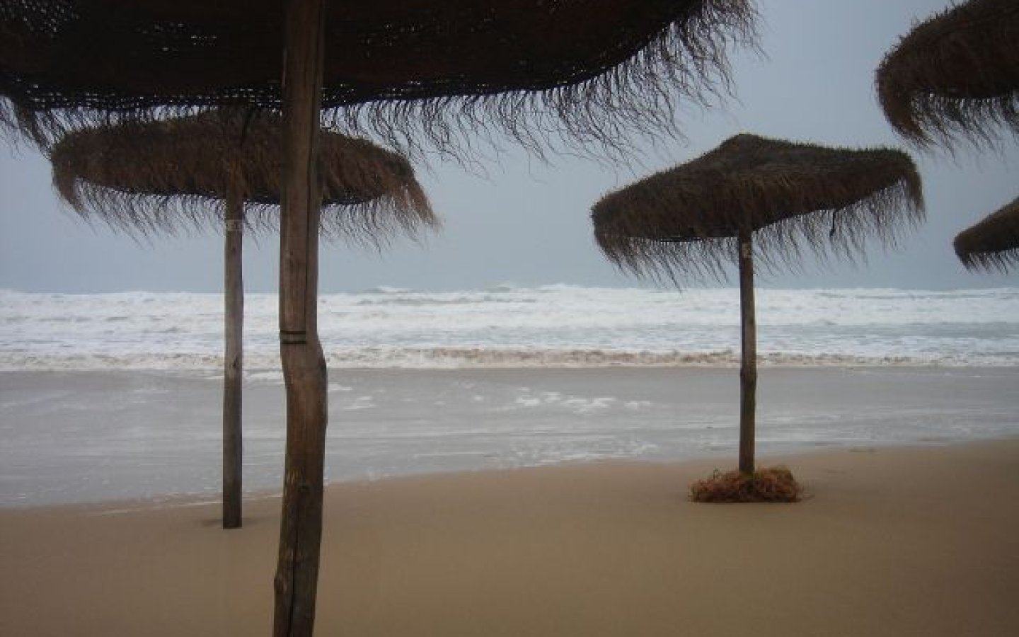 dsc06446-640x640x80 dsc06446-640x640x80