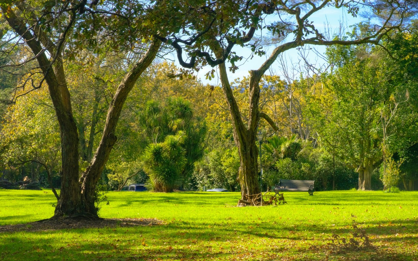 sammie-nguyen-wLs3WgwS7y8-unsplash (1)