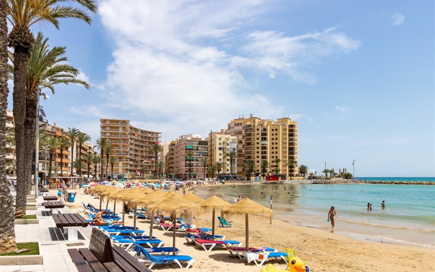 WhatsApp Image 2024-07-29 at 15.26.17 (41)