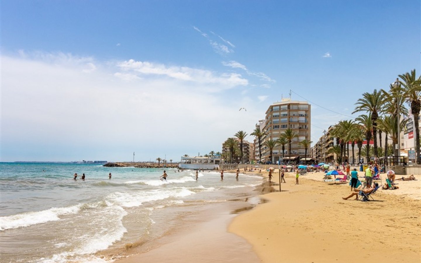 WhatsApp Image 2024-07-29 at 15.26.17 (42)