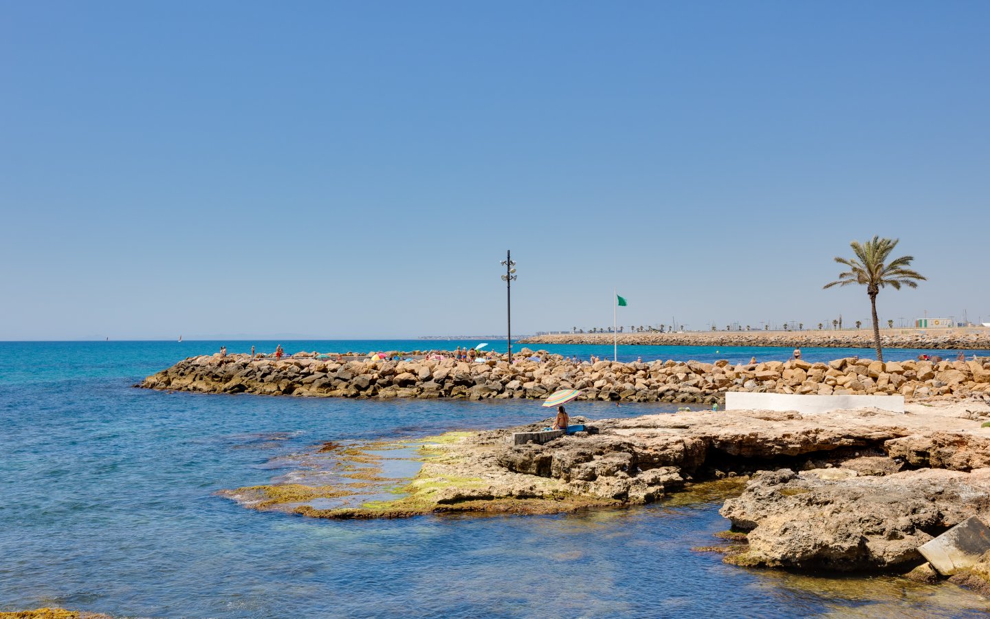 Huerto 46 (33) Huerto 46 (33)