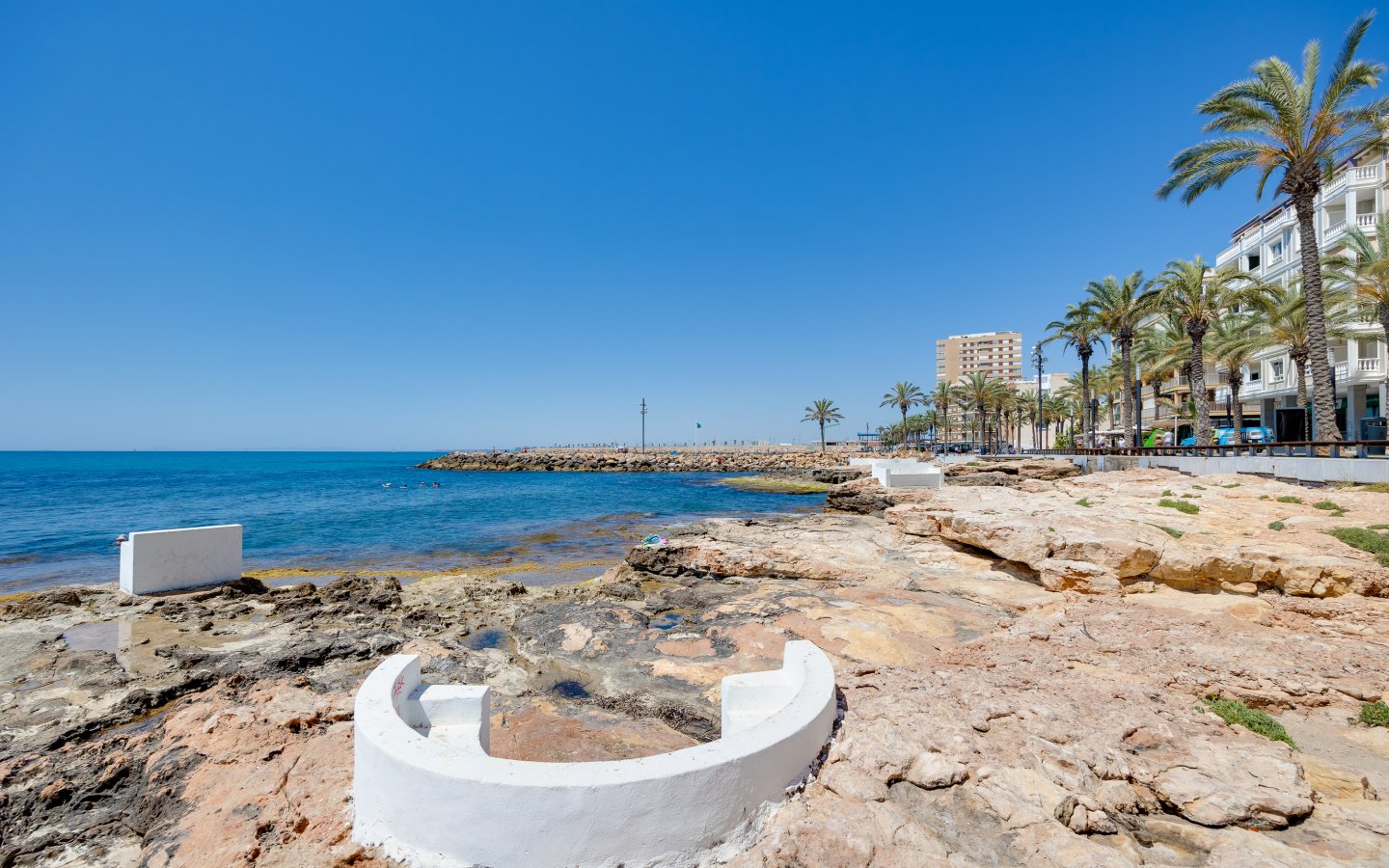 Huerto 46 (34) Huerto 46 (34)