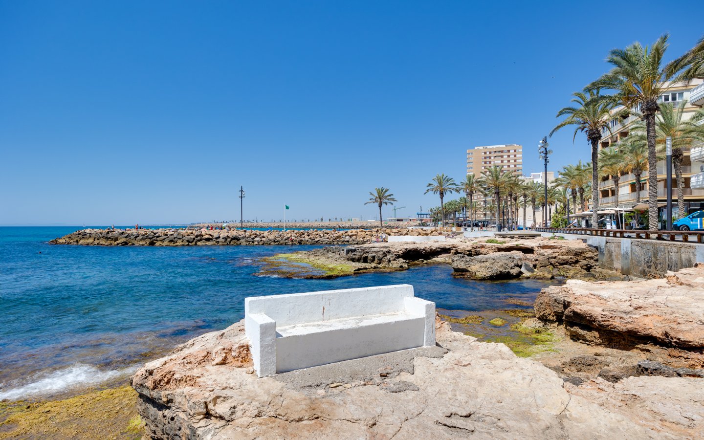 Huerto 46 (35) Huerto 46 (35)